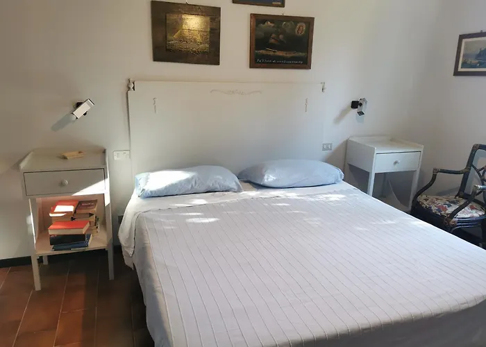 White & Blue House *