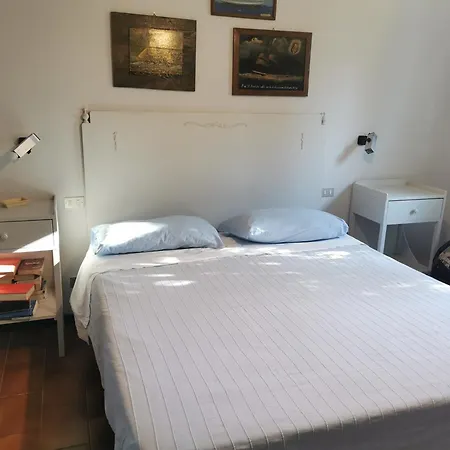 White & Blue House *